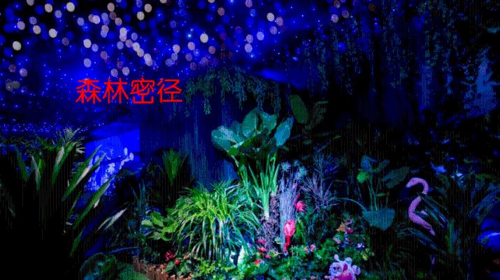 健身房逃生记